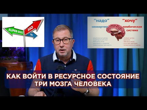 Видео: РЕСУРСНОЕ СОСТОЯНИЕ / Как мозг принимает решения / Три мозга человека