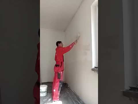 Видео: Шпакловка