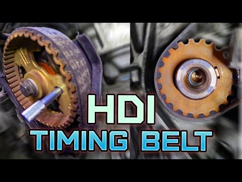 Видео: Замена ремня ГРМ на двигателях PSA HDi [Peugeot, Citroen, DS, Ford]