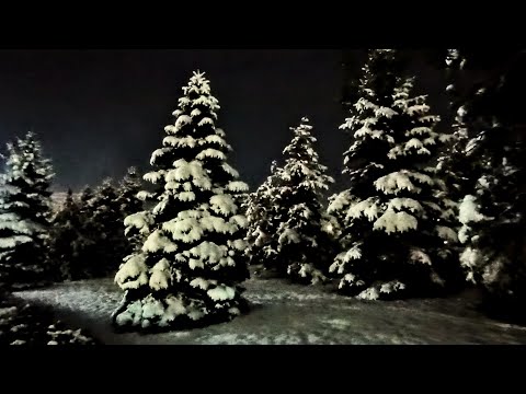 Видео: В Алма Ате выпал снег. Медеу.