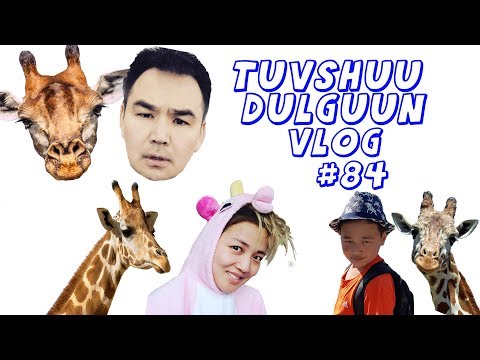 Видео: Хүүдээ юу үзүүлсэн бэ😊