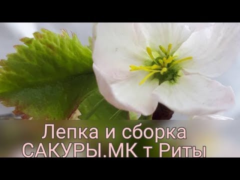 Видео: ЦВЕТУЩАЯ ВЕТОЧКА С ЯГОДАМИ МК ОТ РИТЫ