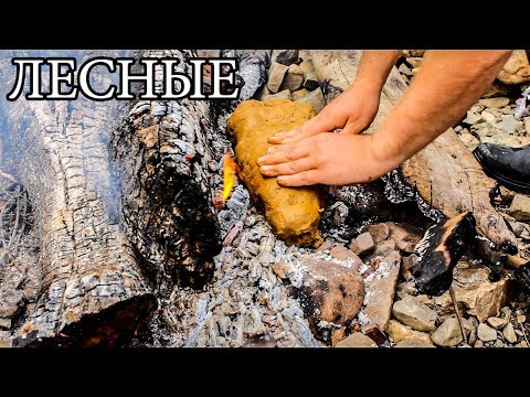 Видео: Дикая кухня - РЫБА В ГЛИНЕ | Steamed Fish In Clay