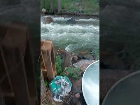 Видео: Зона отдыха Мерке.🤩🤗🏞🏝 Готовили молодого ягненка🐑, мясо/сырбаз на природе🍖.