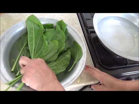 Видео: Как правильно готовить ПОДОРОЖНИК. Лечим Аллергию Простуду Грипп Бронхит Гастрит Язвы Раны Запор