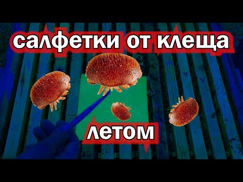 Видео: САЛФЕТКИ ОТ КЛЕЩА. ЛЕТНЯЯ ОБРАБОТКА ОТ КЛЕЩА.