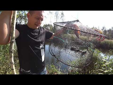 Видео: Ловля раков! Вареные раки на озере