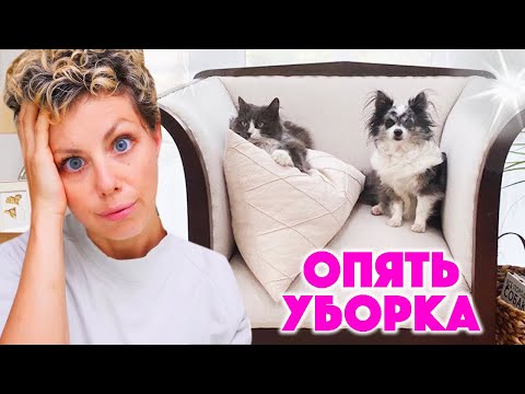 Видео: ЧТО Я ДЕЛАЮ 11 ЛЕТ ПОДРЯД С 5 ПИТОМЦАМИ ?!