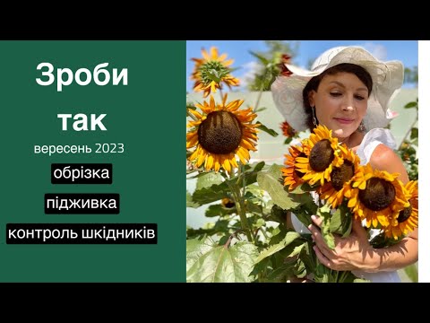 Видео: Підготовка до посадки рослин, обрізка перед зимою, контроль шкідників.