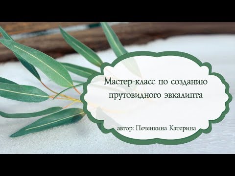 Видео: Мастер   класс  Эвкалипт из фоамирана
