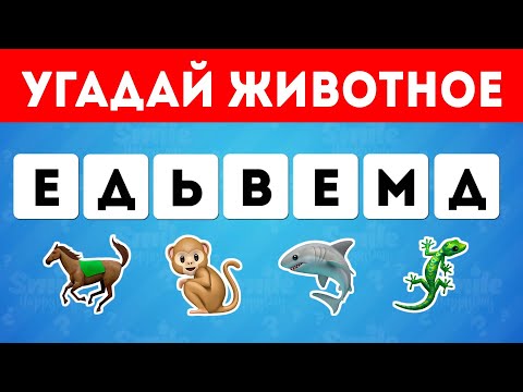Видео: Угадай животное по перепутанным / Smile HappyDay