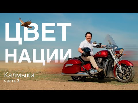 Видео: История калмыков в традициях: Открывая двери наследия