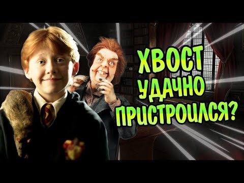 Видео: Зачем Питер Петтигрю Жил с Роном Уизли Так Долго?