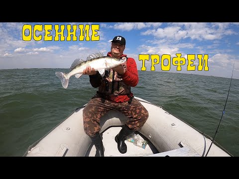 Видео: Судак на спиннинг ! Рыбалка на Веселовском водохранилище.