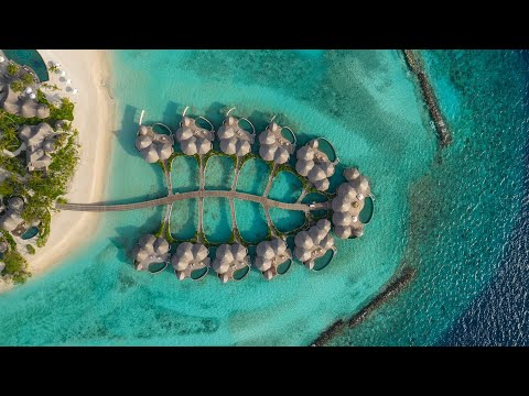 Видео: Intour Maldives Webinar - Вебинар с отелем The Nautilus Maldives