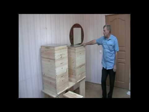 Видео: Деревянные ульи в шип