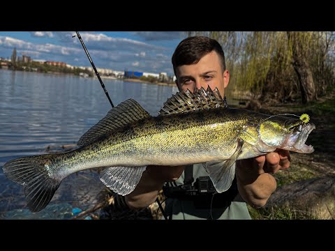 Видео: ЦЕ НЕРЕАЛЬНО! Що можна спіймати за 3 години СТРІТФІШИНГУ в місті???