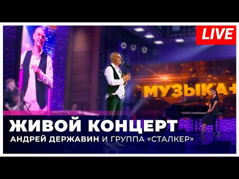 Видео: Андрей Державин - live на Звезда ТВ