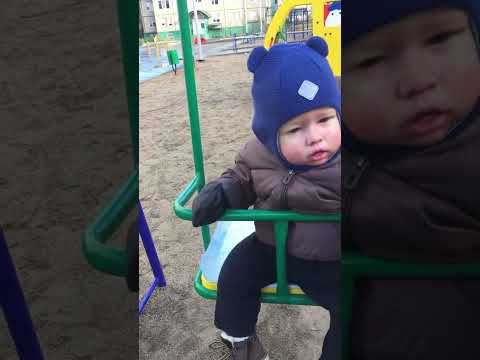 Видео: Первая осенняя прогулочка с Богданом