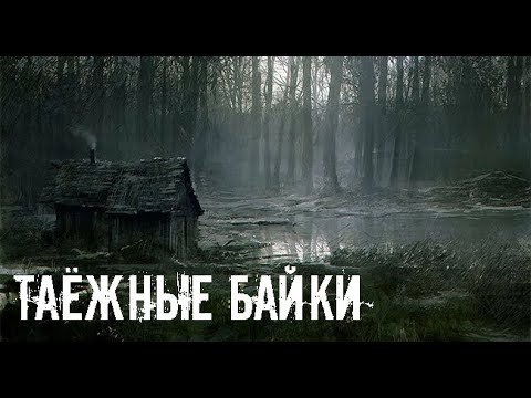 Видео: Тайга моя заветная. Страшные. Мистические. Творческие истории. Хоррор
