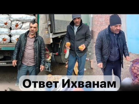 Видео: Манипуляция и подмена понятий ихванов ! ихваны против Башира !