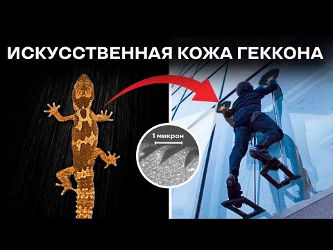 Видео: Этот материал позволяет ползать как геккон [Veritasium]