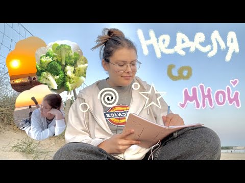 Видео: ⋆｡𖦹 °✩ 5-ый день лета: конец учебы, пишем планы вместе ✩°｡⋆⸜ 🎧✮