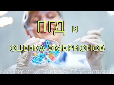 Видео: ПГД и оценка эмбрионов
