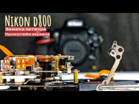 Видео: nikon d800 замена затвора,замена кронштейна зеркала