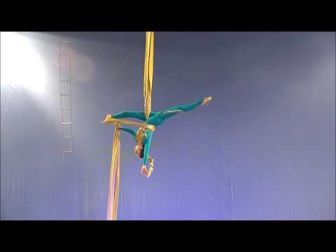 Видео: Выступление на полотнах