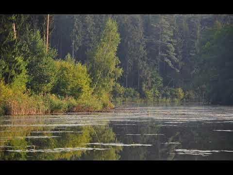 Видео: 7 дом в Скорпионе