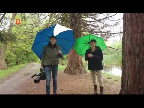 Видео: За тръпката на фермерския живот, "Бразди" - 27.04.2024