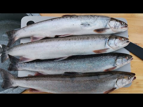 Видео: Речка трёх(4)-гольцовка