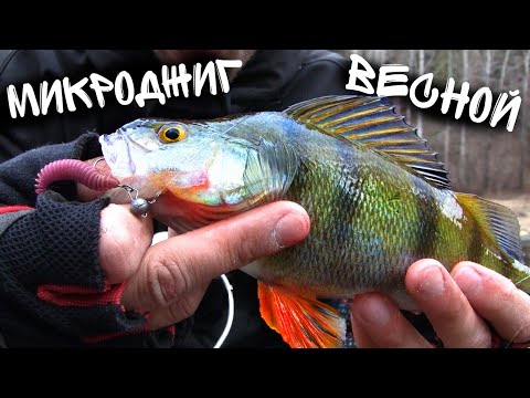 Видео: Микроджиг в конце Апреля. Рыбалка на реке Тагил. Окунёвые раздачи.