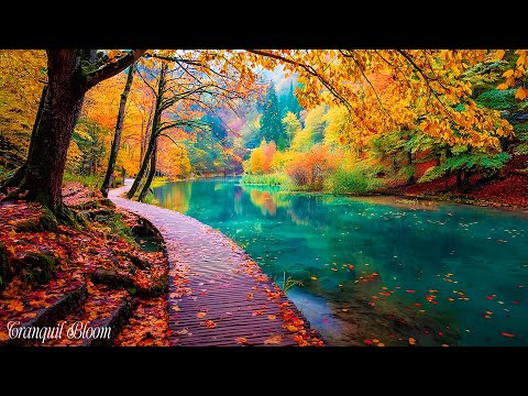 Видео: Осеннеебезмятежность 🍁 Расслабляющая Фортепианная Музыка Для Успокоения Разума И Души