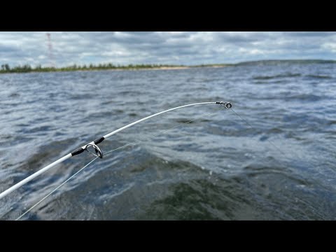 Видео: Наконец то крупный осенний лещ пошёл. Рыбалка 2024