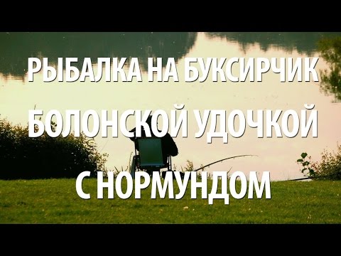 Видео: КАК ЛОВИТЬ РЫБУ НА БУКСИРЧИК. НОРМУНД ГРАБОВСКИС - БОЛОНСКАЯ УДОЧКА НА ТЕЧЕНИИ