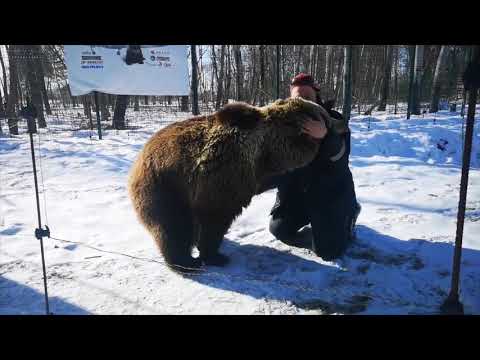 Видео: Медведь встречает пилота из Сортавалы (Карелия)