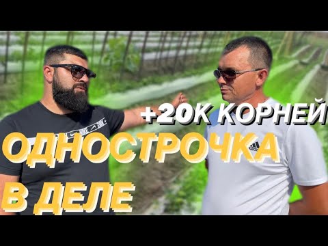 Видео: Я ПЕРЕШЕЛ НА ОДНОСТРОЧКУ/ ПРЕИМУЩЕСТВА И НЕДОСТАТКИ/ 2023/