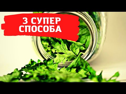 Видео: Сразу 3 супер способа заготовки КИНЗЫ на зиму