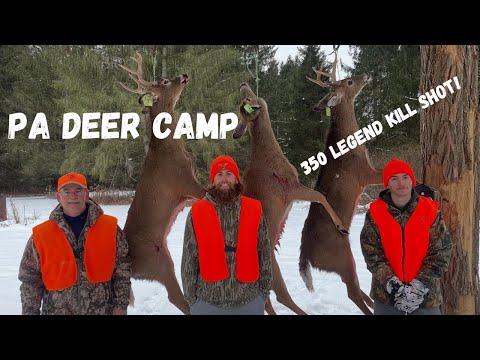 Видео: Сезон стрельбы из винтовки в Пенсильвании 2024 года | 350 легенд сразили легендарную лань