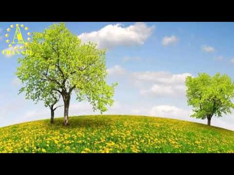 Видео: МАХРАМОВ МАЛЛАБОЙ