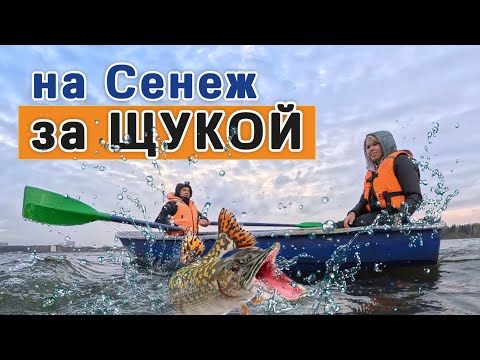 Видео: Рыбалка на озере Сенеж 2025