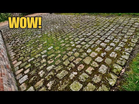Видео: СЛИШКОМ ДАЛЕКО? Мох и другие растения покрывают тротуар! Можно ли его спасти? Или я опоздал?