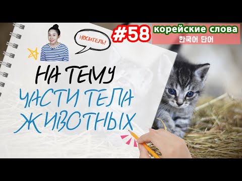Видео: Корейские слова на тему "Части тела животных"