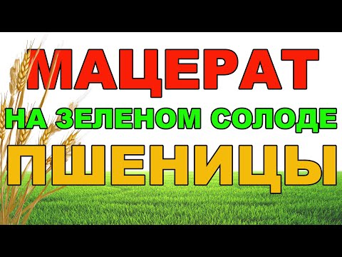 Видео: ПШЕНИЧНЫЙ МАЦЕРАТ НА ЗЕЛЕНОМ СОЛОДЕ! ВКУС И АРОМАТ СУПЕР! НЕ ОЖИДАЛ!МАЦЕРАТ НА АППАРАТЕ ЛЮКССТАЛЬ 8М