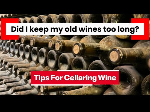 Видео: Мастер винных дегустаций/рассказывает о выдержке вина