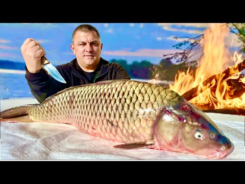 Видео: ШАШЛЫК из РЫБЫ. САЗАН на МАНГАЛЕ - Это самый вкусный рецепт!