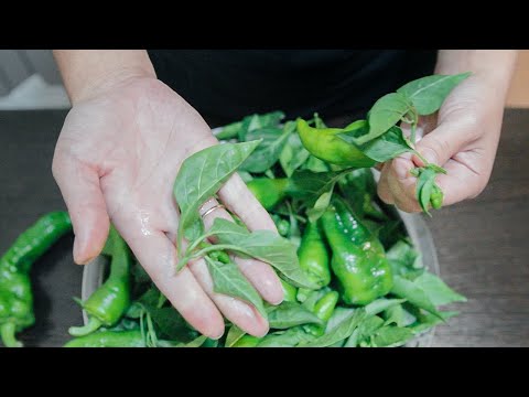 Видео: ЛИСТЬЯ ПЕРЦА НЕ ВЫБРАСЫВАЮ! Готовлю вкусную закуску по корейски. Корейская кухня