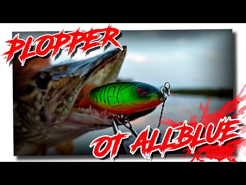 Видео: Ловля на плоппер от Allblue